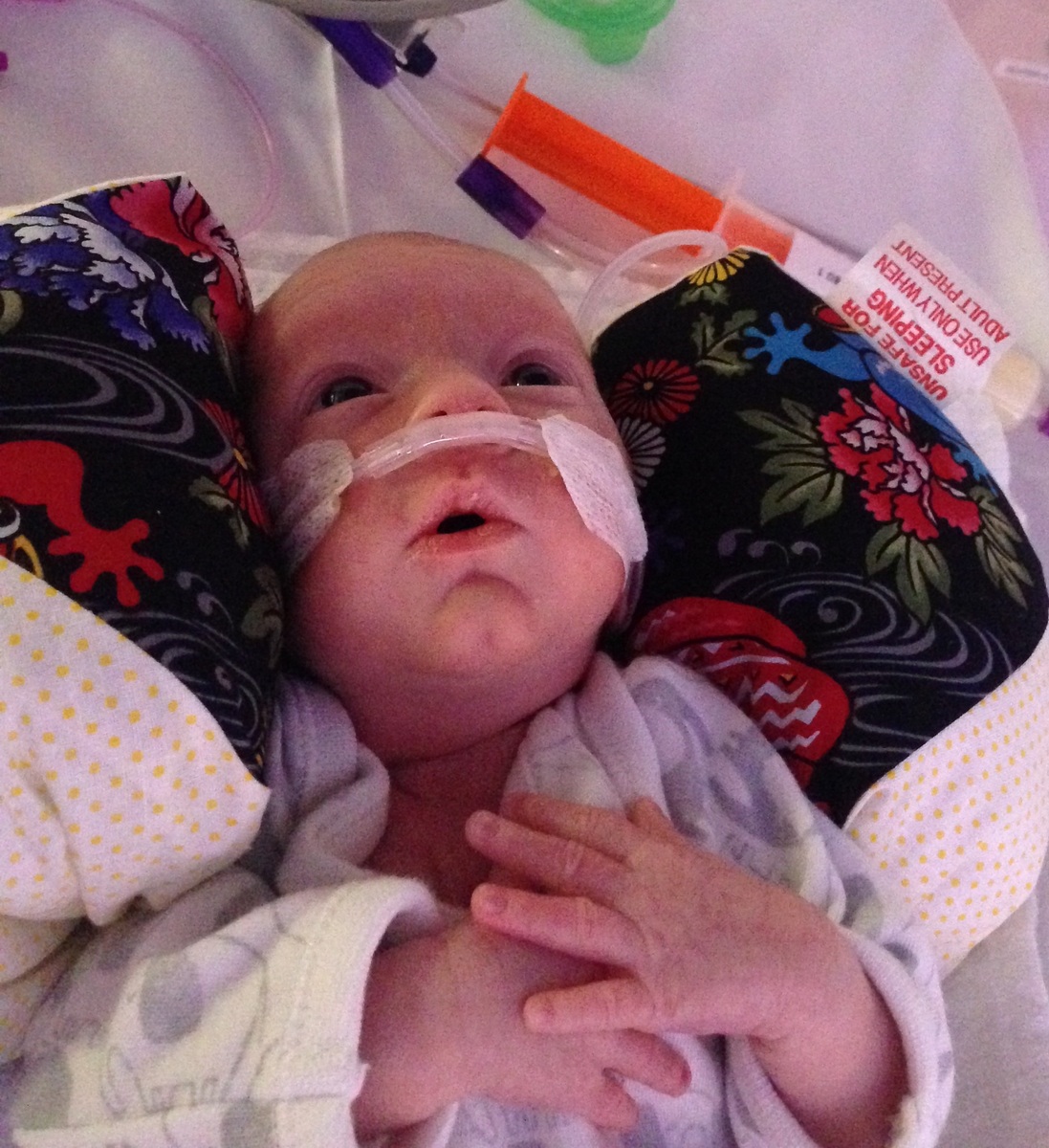 Looking up at his cot cover