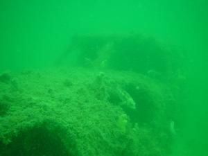 [Wreck of a twin engine aeroplane at Rockingham, WA. The dive was so murky you had to follow a rope that had been set out for divers to follow. Otherwise we would have never found this wreck]