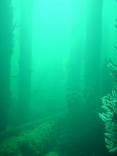 [Fallen pillar, this does not look like it's underwater. ]