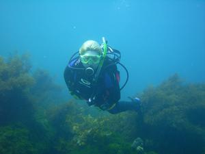 [Honeymoon Bay, NSW, AU<br/>
Aug 2006]