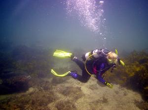 [Action shot - great buoyancy again at Kurnell. The vis was great that day: fifteen metres or more. ]